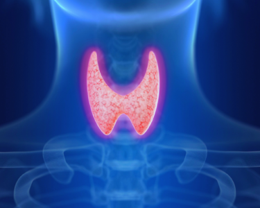 健康診断でよく指摘される甲状腺腫大。考えられる病気は？のアイキャッチ画像